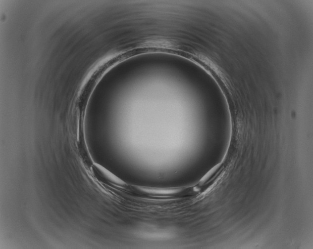 X0000087641123200705031503