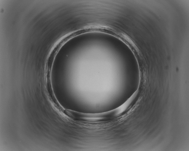 X0000087641124200705031503