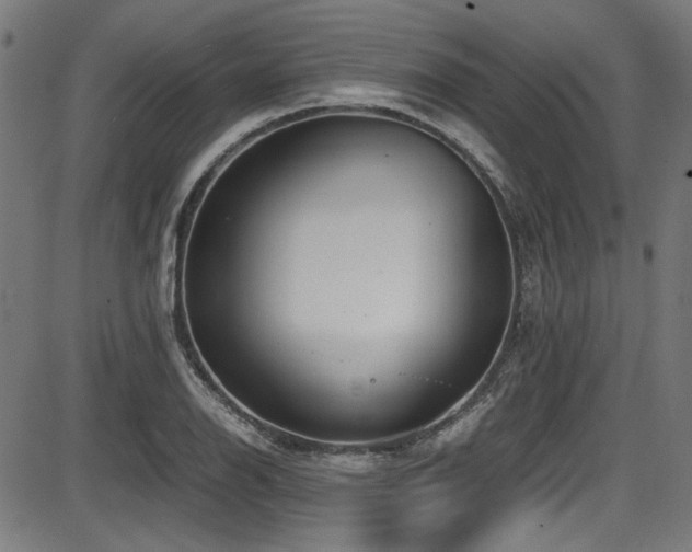 X0000087641126200705031504