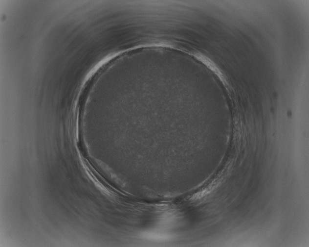 X0000087641127200705031504