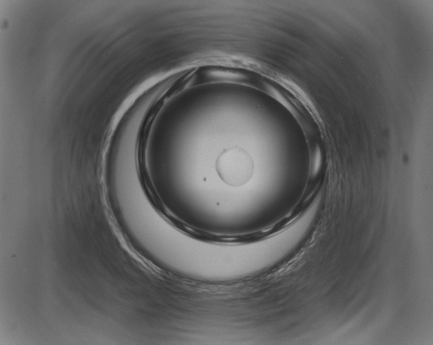 X0000087641128200705031504