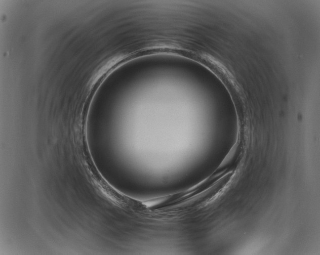 X0000087641129200705031504