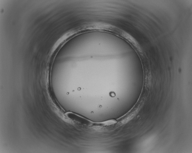 X0000087641130200705031504