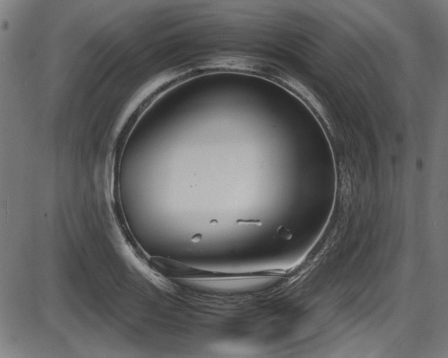 X0000087641131200705031504