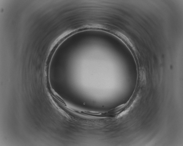 X0000087641133200705031504