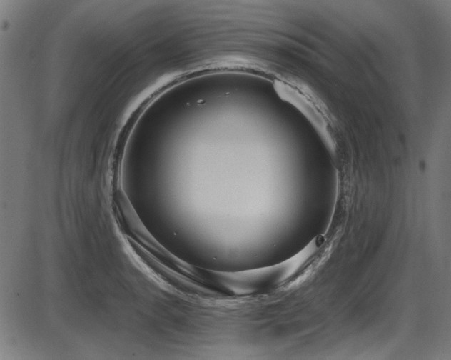 X0000087641134200705031504