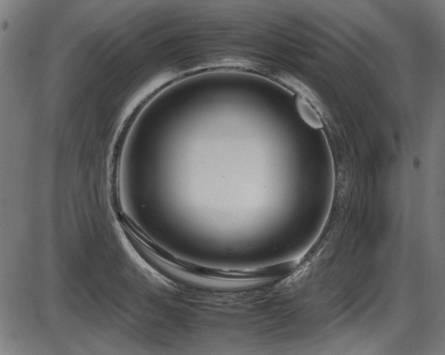 X0000087641135200705031504