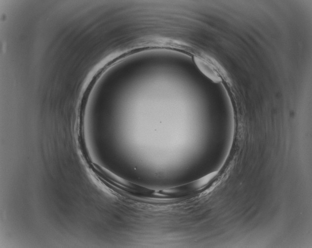 X0000087641136200705031504