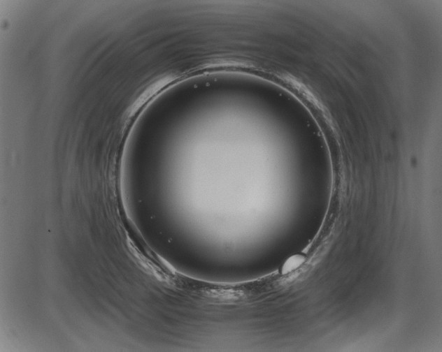 X0000087641137200705031504