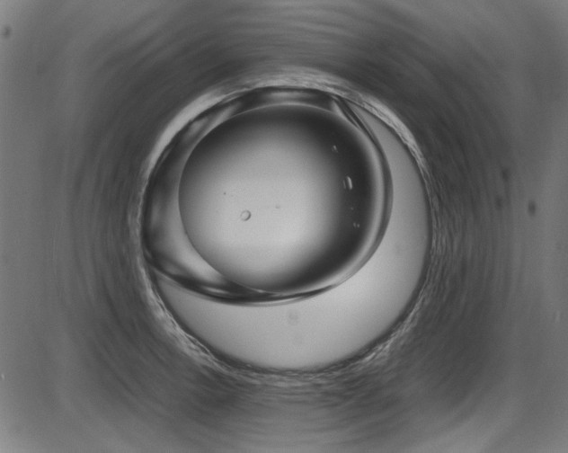 X0000087641138200705031504