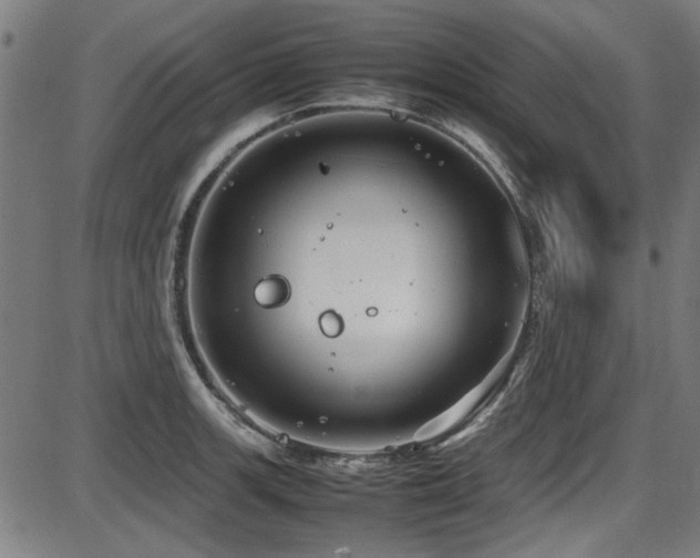 X0000087641139200705031504