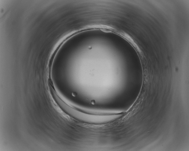 X0000087641140200705031504