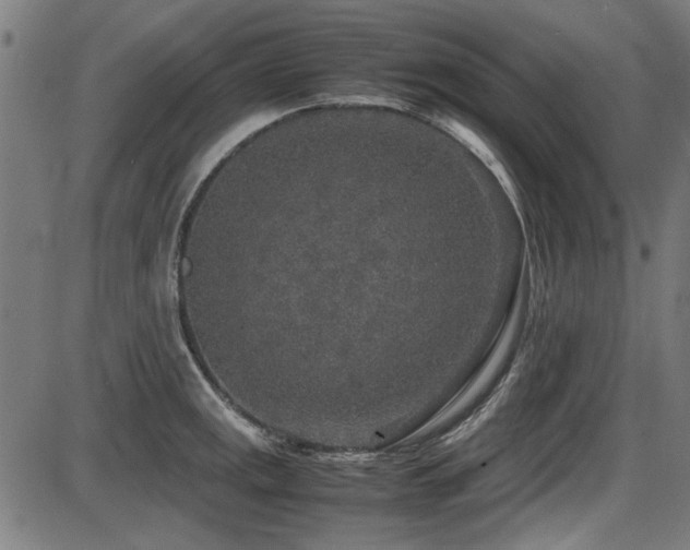 X0000087641141200705031504