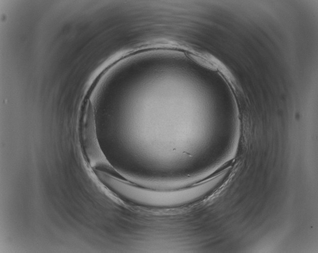 X0000087641142200705031504