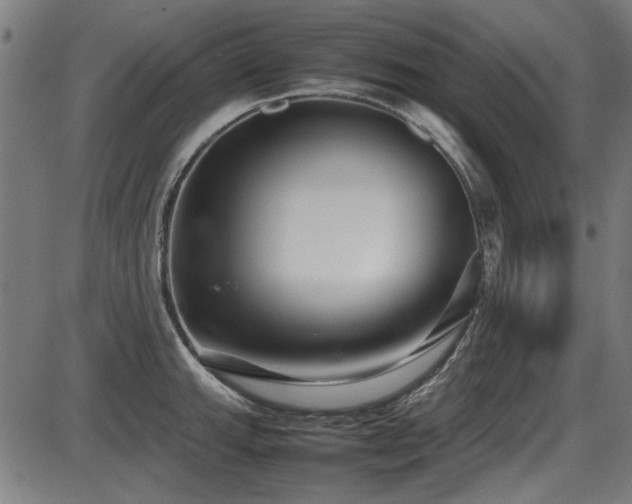 X0000087641143200705031504