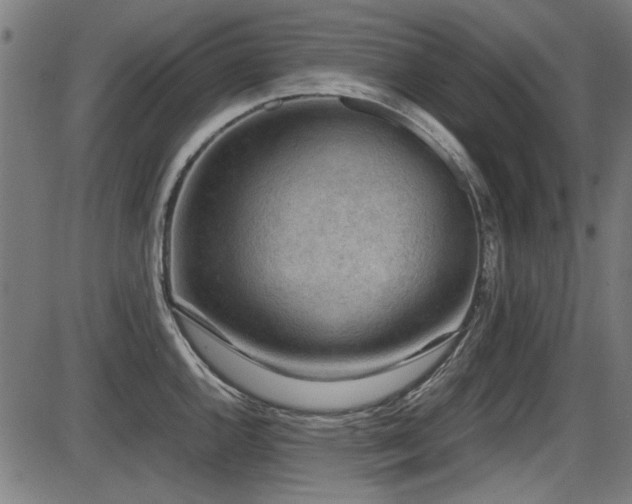 X0000087641144200705031504