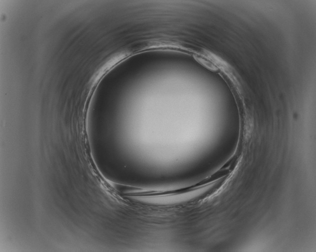 X0000087641145200705031504