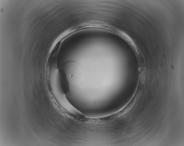 X0000087641146200705031504