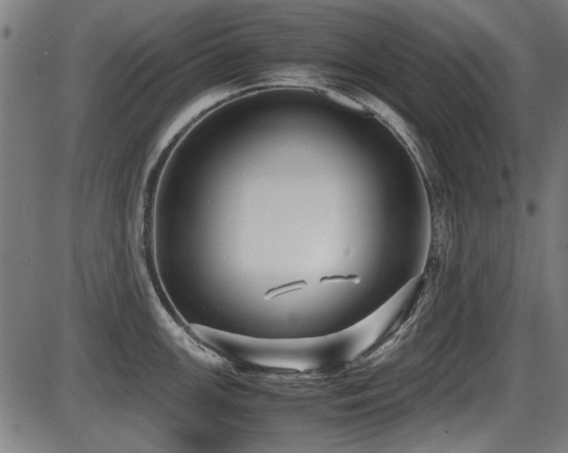 X0000087641147200705031504