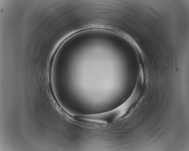 X0000087641148200705031504