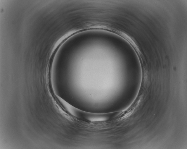 X0000087641149200705031504