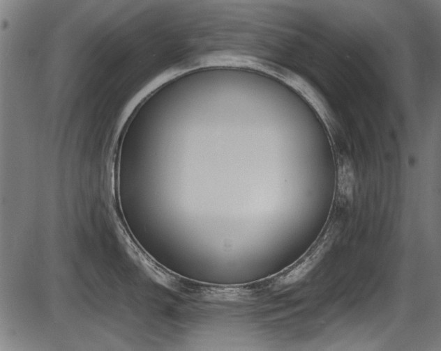 X0000087641150200705031504