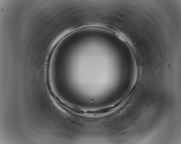 X0000087641151200705031504