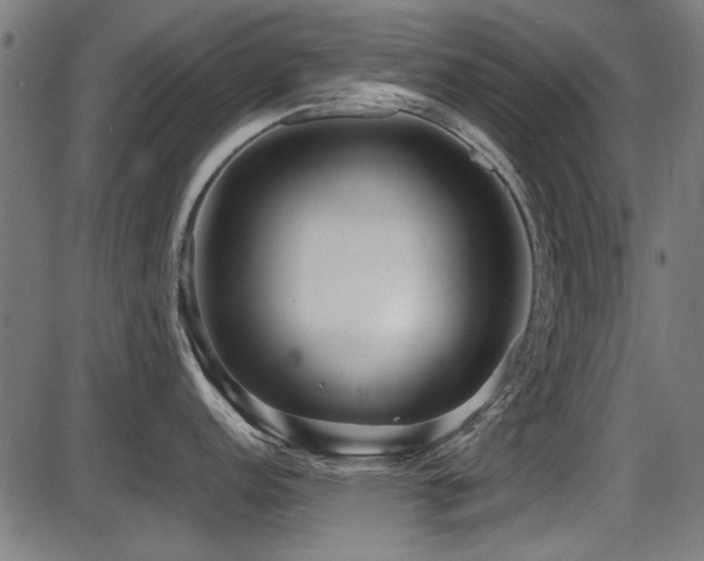 X0000087641152200705031504