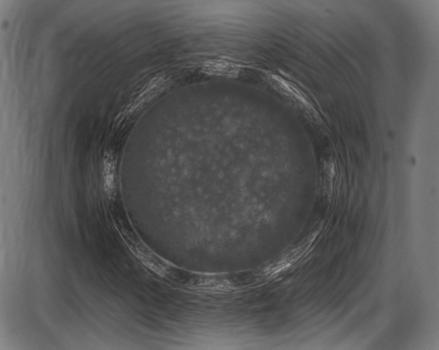 X0000087641154200705031503