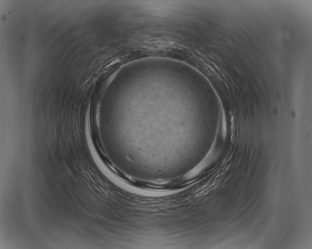 X0000087641156200705031503