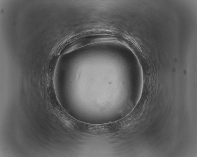 X0000087641159200705031503