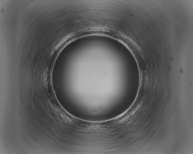 X0000087641162200705031503