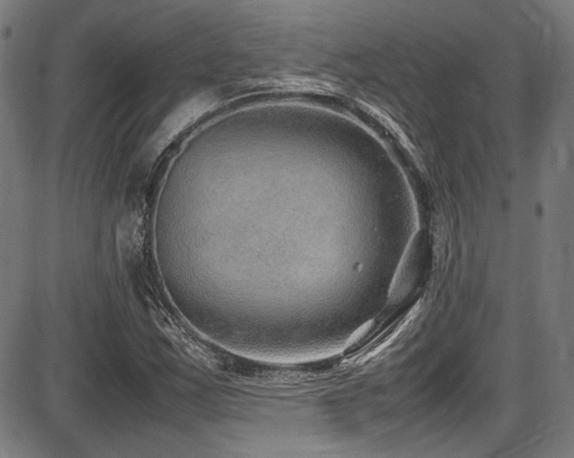 X0000087641163200705031503