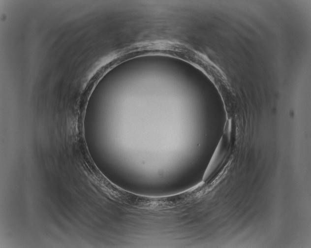 X0000087641166200705031503