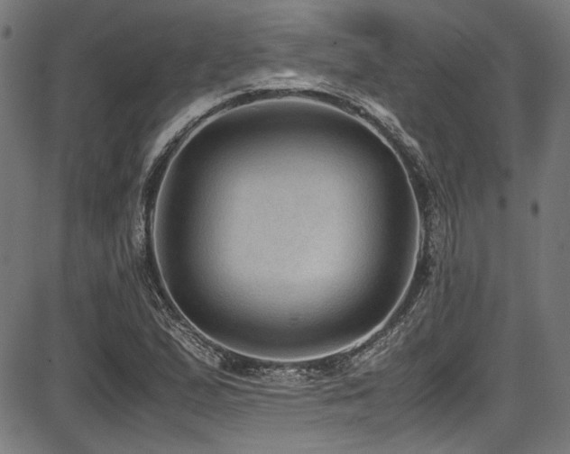 X0000087641167200705031503