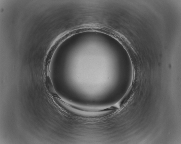 X0000087641168200705031503