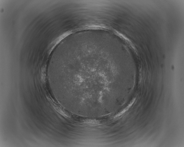 X0000087641170200705031503