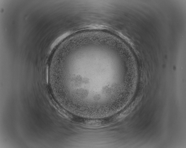 X0000087641171200705031503