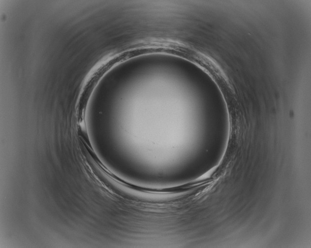 X0000087641172200705031503