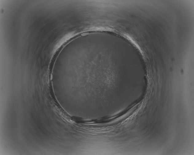 X0000087641173200705031503