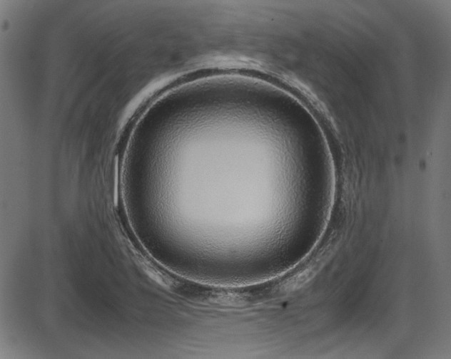 X0000087641175200705031503