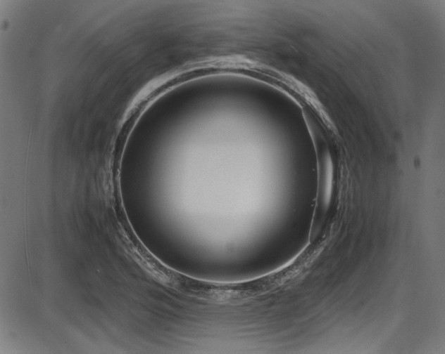 X0000087641176200705031503