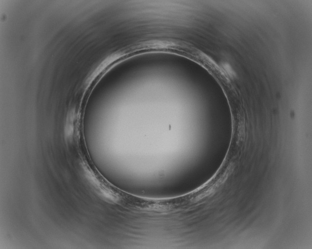 X0000087641178200705031503