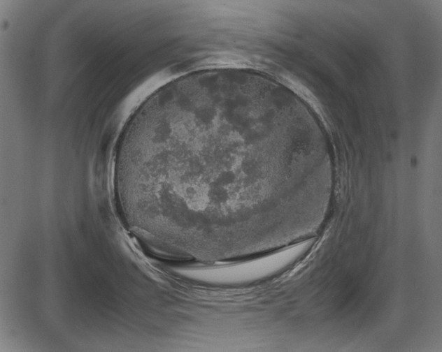 X0000087641179200705031503