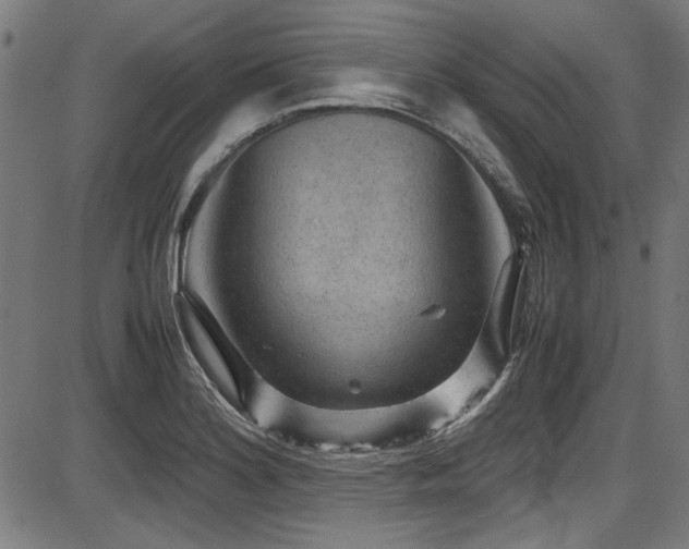 X0000087641180200705031503