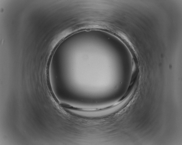 X0000087641181200705031503