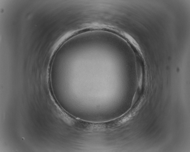 X0000087641183200705031503