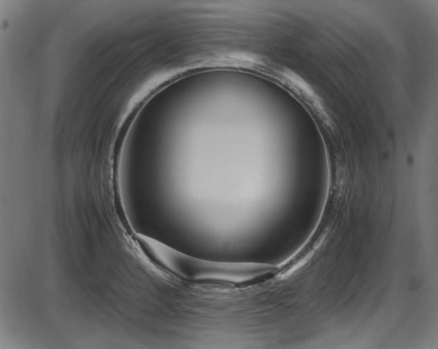 X0000087641184200705031503