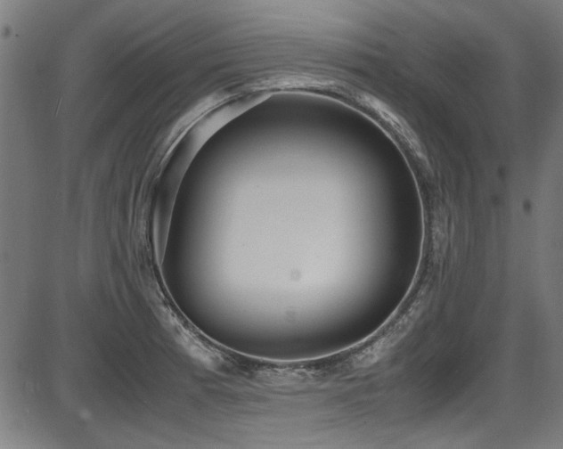 X0000087641185200705031503