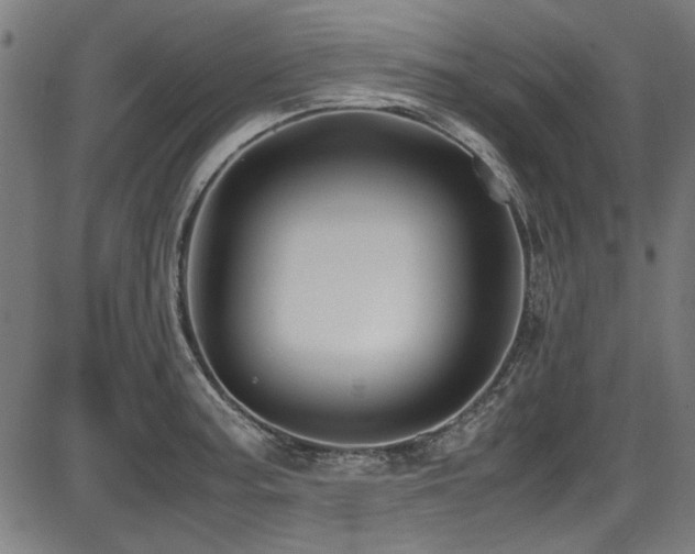 X0000087641187200705031503